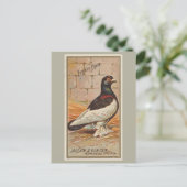 tuimelaar briefkaart (Staand voorkant)