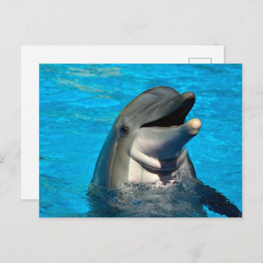 tuimelaar feestdagenkaart (Voorkant / Achterkant)