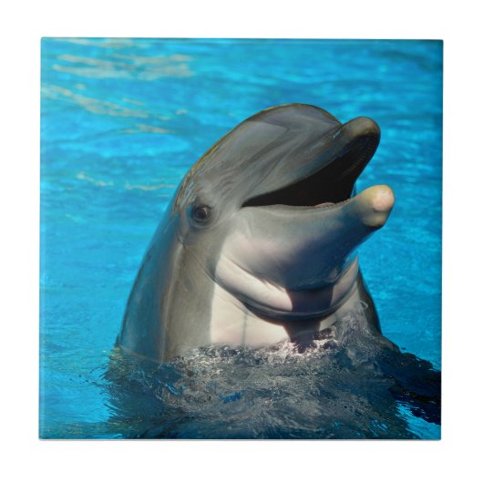 tuimelaar tegeltje (Voorkant)