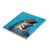 tuimelaar tegeltje (Zijkant)