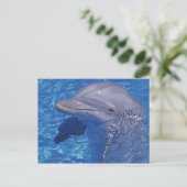 Tuimelaar, Tursiops Truncatus Briefkaart (Staand voorkant)
