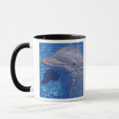 Tuimelaar, Tursiops Truncatus Mok (Links)