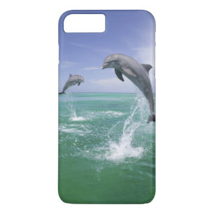 Tuimelaars Tursiops truncatus iPhone 8/7 Plus Hoesje