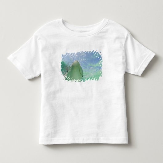 Tuimelaars (Tursiops truncatus) Kinder Shirts (Voorkant)