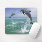Tuimelaars Tursiops truncatus Muismat (Met muis)