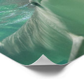 Tuimelaars (Tursiops truncatus) Poster (Hoek)