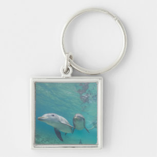 Tuimelaars Tursiops truncatus Sleutelhanger