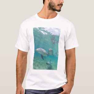 Tuimelaars Tursiops truncatus T-shirt