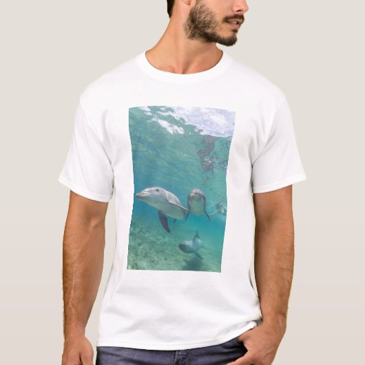 Tuimelaars Tursiops truncatus T-shirt (Voorkant)