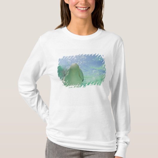 Tuimelaars (Tursiops truncatus) T-shirt (Voorkant)