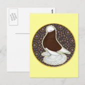 tuimelduivencirkel briefkaart (Voorkant / Achterkant)