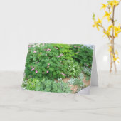 Tuin 1 van de schaduw kaart (Gele Bloem)