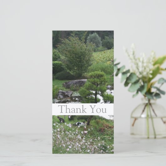 Tuin 3 met Katten Dank U Foto Kaarten 1 (Staand voorkant)