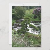 Tuin 3 met Katten Memorial Begrafenisaankondiging Kaart (Achterkant)