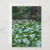 Tuin 5 Lotus Uitvaart Aankondiging (Achterkant)