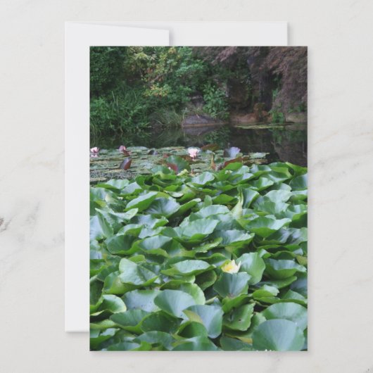 Tuin 5 Lotus Uitvaart Aankondiging (Achterkant)