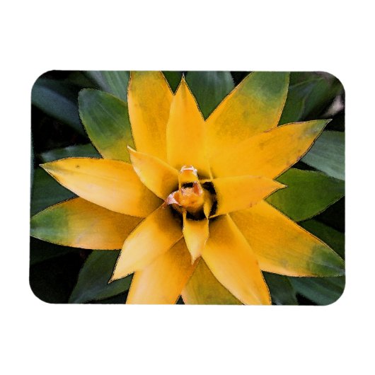 Tuin bladplant gele bladeren, magneet (Horizontaal)