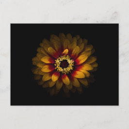 Tuin Bloemen Nr 69 Kleuren Versie Briefkaart