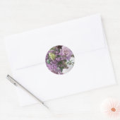 Tuin Bounty 4 Ronde Sticker (Envelop)