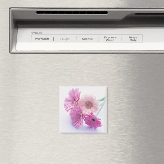 Tuin Bounty 8 Magneet (Insitu (Vaatwasser))