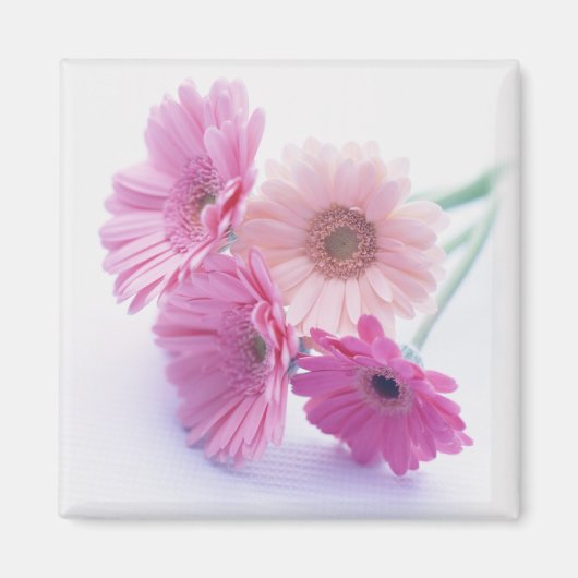 Tuin Bounty 8 Magneet (Voorkant)