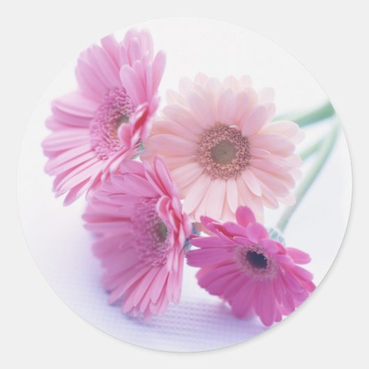 Tuin Bounty 8 Ronde Sticker (Voorkant)