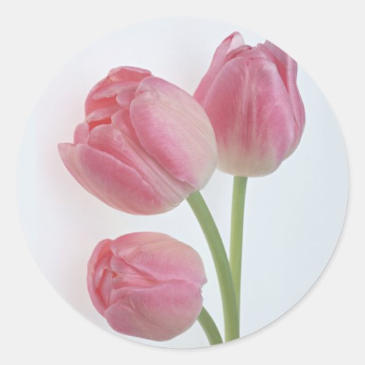 Tuin Bounty 9 Ronde Sticker (Voorkant)