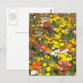 Tuin Briefkaart (Voorkant / Achterkant)