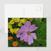 Tuin Briefkaart (Voorkant / Achterkant)