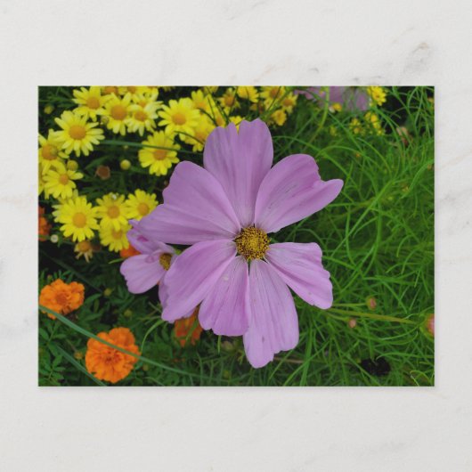 Tuin Briefkaart (Voorkant)