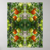 Tuin Cherry Tomatoes Abstracte Natuur Art Poster (Voorkant)