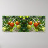 Tuin Cherry Tomatoes Spiegel Abstract Poster (Voorkant)