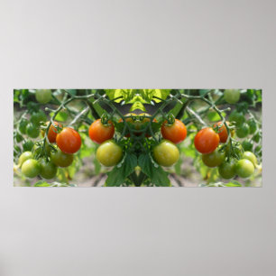Tuin Cherry Tomatoes Spiegel Abstract Poster