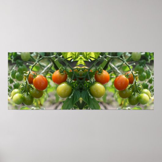 Tuin Cherry Tomatoes Spiegel Abstract Poster (Voorkant)