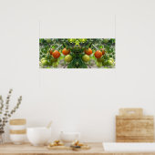 Tuin Cherry Tomatoes Spiegel Abstract Poster (Keuken)