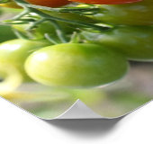 Tuin Cherry Tomatoes Spiegel Abstract Poster (Hoek)