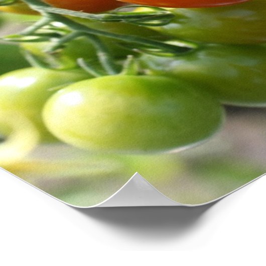 Tuin Cherry Tomatoes Spiegel Abstract Poster (Hoek)