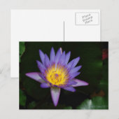 tuin der eden briefkaart (Voorkant / Achterkant)