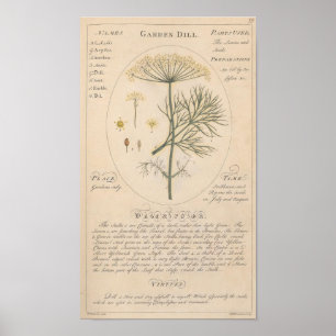 Tuin Dill Botanische Print