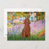 Tuin - Donkerrode poedel #1 Briefkaart (Voorkant / Achterkant)