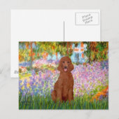 Tuin - Donkerrode Poodle #1 Briefkaart (Voorkant / Achterkant)