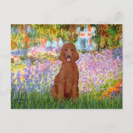 Tuin - Donkerrode Poodle #1 Briefkaart (Voorkant)