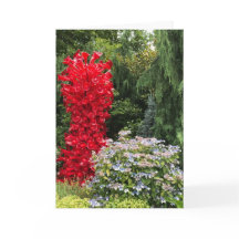 Tuin en Rode Glazen Beeldhouwwerk