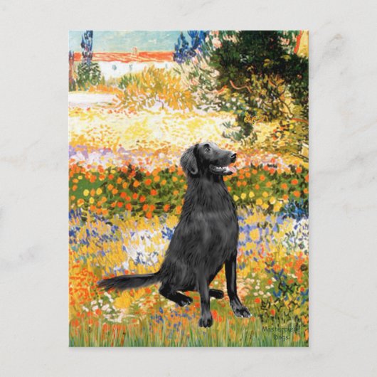 Tuin - Flat Coated Retriever Briefkaart (Voorkant)