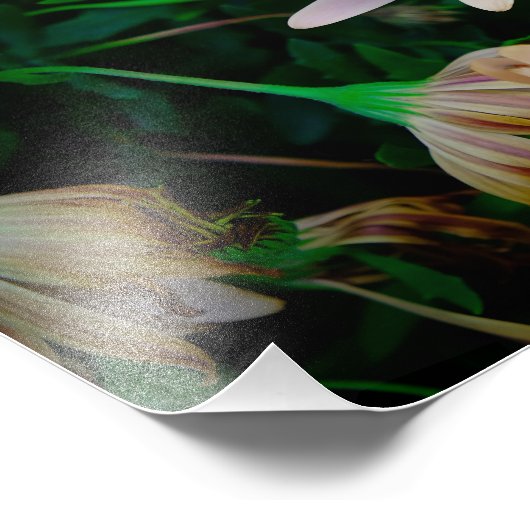 Tuin Foto Afdruk (Hoek)