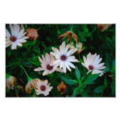 Tuin Foto Afdruk (Voorkant)