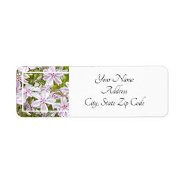 Tuin Genot Etiket