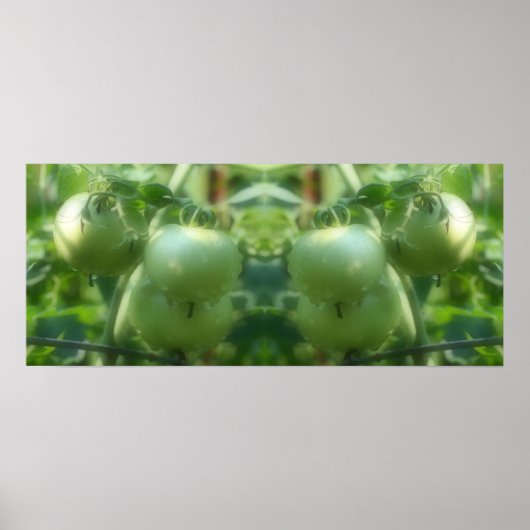 Tuin Groene Tomaten Natuur Spiegel Abstract Poster (Voorkant)