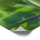 Tuin Groene Tomaten Natuur Spiegel Abstract Poster (Hoek)