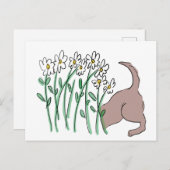 Tuin helper (Hond in de madeliefjes) briefkaart (Voorkant / Achterkant)